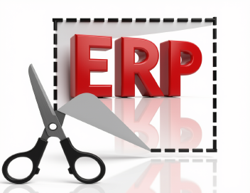 Tailor Made Software